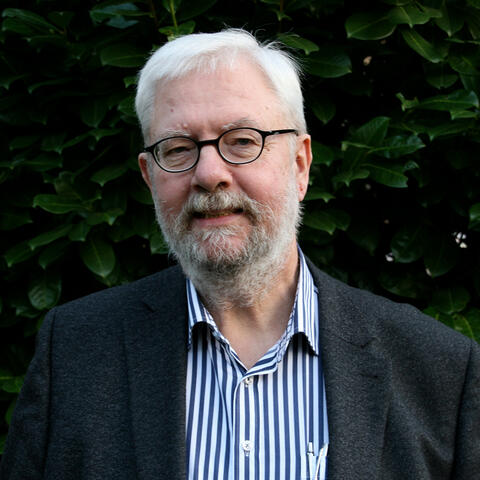 Friedemann Immer