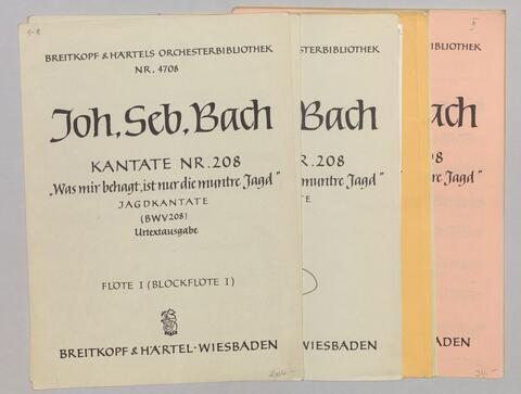 BWV208