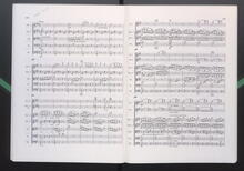 Bruckner, Anton: Symphonie Nr.3 d-Moll, Fassung 1889, Notiz Karaj. langs.