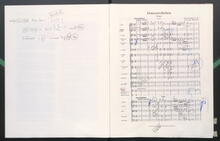 Strauss, Johann: "Donauweibchen" op.427 | RV427