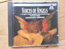 Voices of Angels